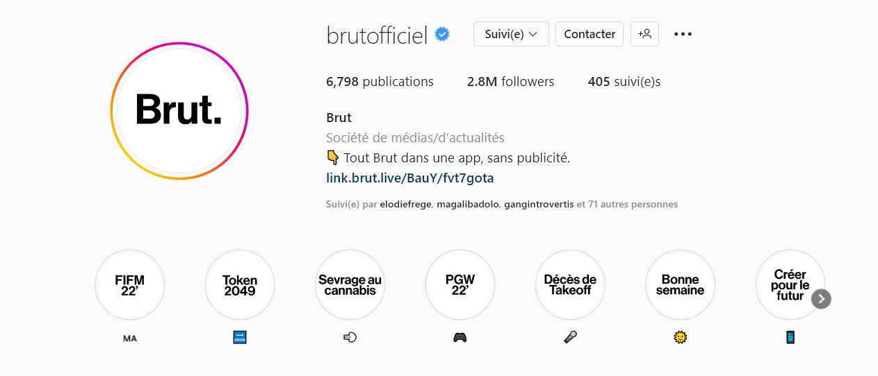 Exemple de biographie Instagram Brut