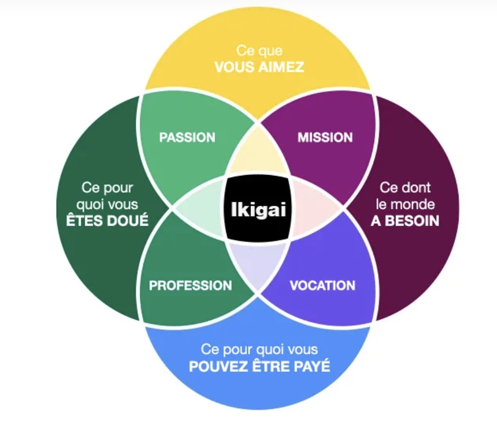 exemple-strategie-personal-branding-ikigai