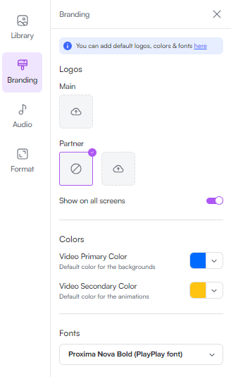 set up your branding parameter for the video with playplay